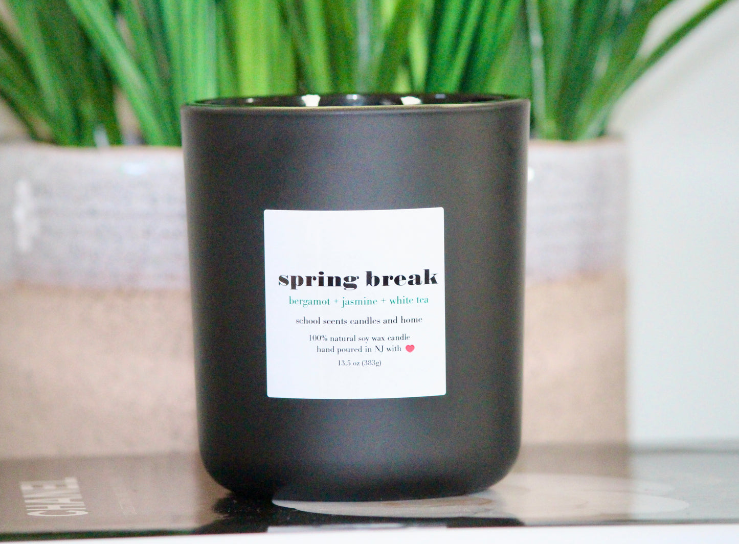 Spring Break 13.5 oz