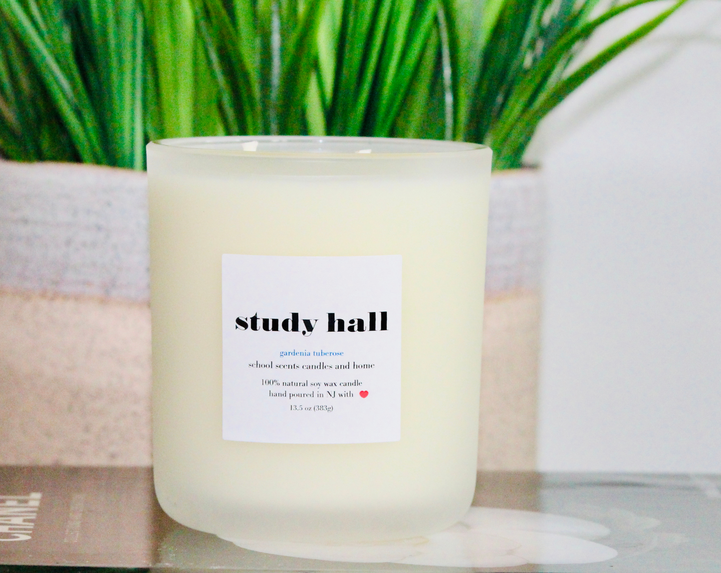 Study Hall 13.5 oz