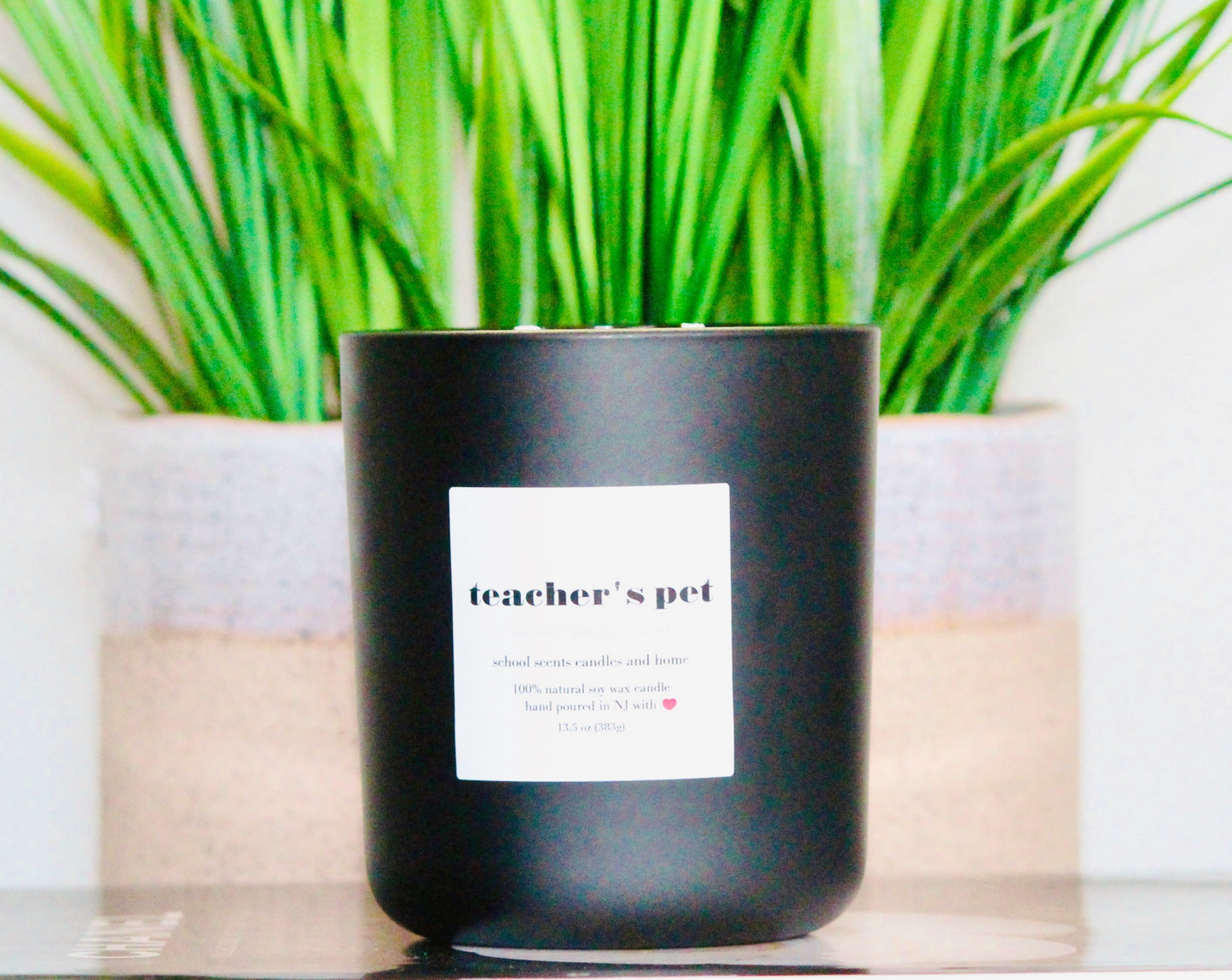 Teacher's Pet 13.5 oz